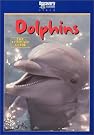 Dolphins - The...