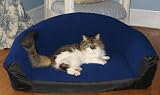 Kitchen & Housewares : Tabby Lounger
