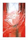 Mystic Rose, Fine Art Print by Peter Schuin, 19.75x27.5