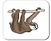 Decorated Mouse Pad with the image of: wildlife, limb, hanging, branch, animal, sloth