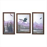 Review NetGift SN-39275 / Mountain Eagles Mirror Set