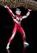 Bandai Tamashii Nations Ultraman Tiga Power Type - Ultra-Act and UMW