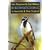 Birdwatching in Australia & New Zealand
