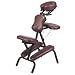 HoMedics Portable Massage Chair