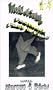 World of Swing #3 - Footwork Fast & Fancy [VHS]