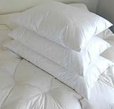 Review LFGD  / Hungarian Goose Down Pillow-In-Pillow - 750+ Fill Power by LFGD, Standard Medium 26oz