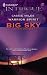 Book Warrior Spirit (Harlequin Intrigue Series)