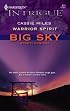 Warrior Spirit (Harlequin Intrigue Series)