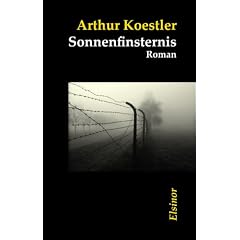 Sonnenfinsternis: Roman