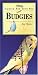 Budgies (Pet Care)