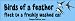 Birds of a feather flock to a freshly washed car - funny bumper stickers (Medium 10x2...