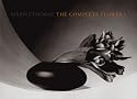 Mapplethorpe The Complete Flowers