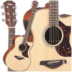AC1M Acoustic-Electric Guitar