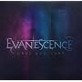 What You Want (2-Track) ~ Evanescence