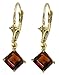 14k Solid Gold Garnet Dangle Earrings title=