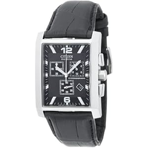 Citizen Men's AT0910-00E Eco-Drive Largo Stainless Steel Leather Strap Watch (Watch)