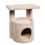 Kitty Condo with Perch