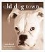 Book Old Dog Town