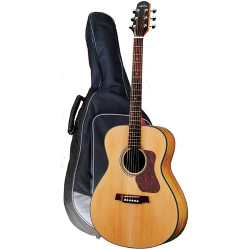 Walden Acoustic Guitars Walden Guitars G570 Natura Series