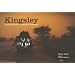 Kingsley : Carnet de route d'un immigrant clandestin