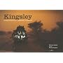Kingsley : Carnet de route d'un immigrant clandestin