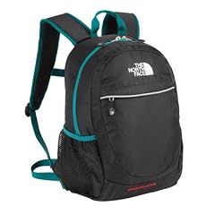 THE NORTH FACE(ザ・ノースフェイス) K’S SMALL DAY PACK(KIDS) 15L NMJ07101
