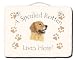 golden_retriever16golden retriever - Golden Retriever Spoiled Rotten Slate