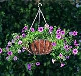Planter, Classic Hanging Basket 14 inch