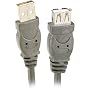 Belkin F3U134-10 USB Extension Cable (10-Feet)