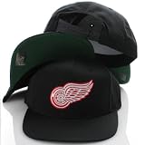 NHL Detroit Red Wings All Black Tone Adjustable Plastic Snapback Cap Hat