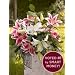 Deluxe Lily Bouquet