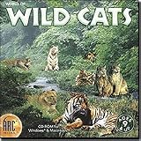 World of Wild Cats
