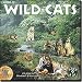 World of Wild Cats
