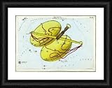 Libra constellation - Framed 16x12 Print (40x30cm) by Science Photo Library
