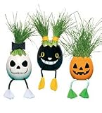Nyokki Halloween Plant Pet - Black Cat