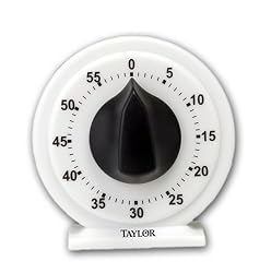 Taylor Large Number Mechanical Timer