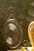 Rhythm Fusion Bullseye gong 12, w/ mallet