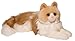 Douglas Kiki Ragdoll Cat