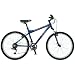 Schwinn Mesa Mountain Bike