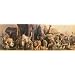 Wild Animal Panorama (#141)