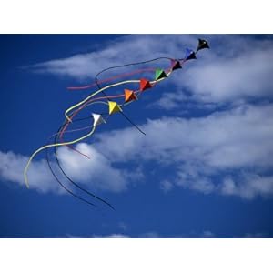 Tandem Kites Photographic Poster Print