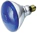 Incandescent Flood Light Bulb, BR38, 100 Watt, Outdoor, Blue