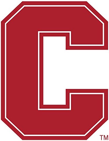 NCAA Cornell Big Red 8" Tall Primary Logo Vinyl Transfer Paper, Team Color, One Size
