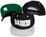 Oakland Raiders Wave Black/Grey Two Tone Snapback Adjustable Plastic Snap Back Hat / Cap