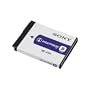 Sony NPFD1 Rechargeable Battery Pack (Retail Packaging)