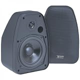 Bic America Adatto Dv52Si Adatto Indoor/Outdoor Speakers (Black)