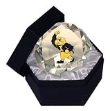 Iowa Hawkeyes Crystal Paper Weight Paperweight