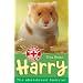 Harry: The Abandoned Hamster (Animal Rescue)