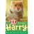 Harry: The Abandoned Hamster (Animal Rescue)