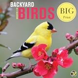 Backyard Birds (Big Print) 2011 Wall Calendar